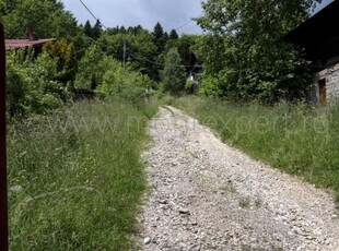 Teren in Sinaia, zona semicentrala, cu deschidere la drum asfaltat!