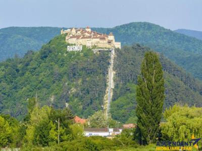 40.000 mp teren, insorit, cu apa curgatoare, fasie padure Rasnov, Brasov