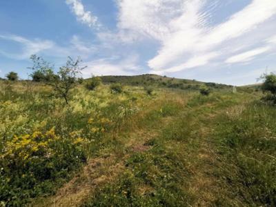 Teren Chinteni, zona Lacului