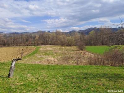 Teren intravilan de vanzare in Fanate, com. Cernesti, jud. Maramures