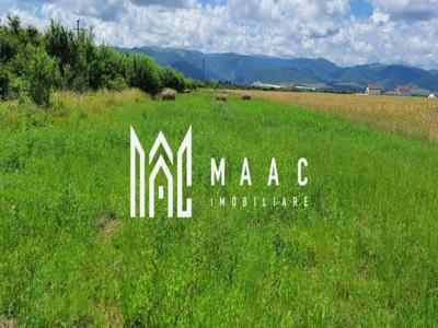 Vanzare Teren Exceptional in Cristian, 5000 mp - MAAC Imobiliare