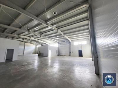 Spatiu industrial de inchiriat, zona Sud, 521.60 mp