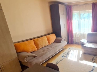 Apartament 1 Camera Et. 2 cu Aer Conditionat De Inchiriat, Zona Dambu