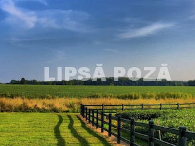 Teren - Lisaura, 900 mp La vanzare