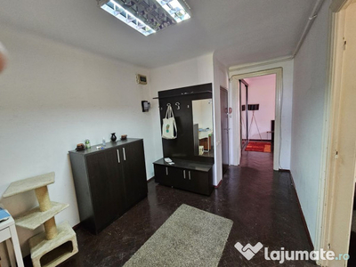 Apartament spatios cu 2 camere, Tineretului Piata Unirii,...