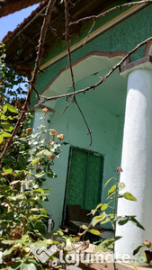 Teren cu casa batraneasca Viisoara, Teleorman