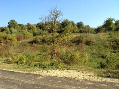 Teren 3000 mp de vanzare in Viforata-zona Manastirea Viforata.