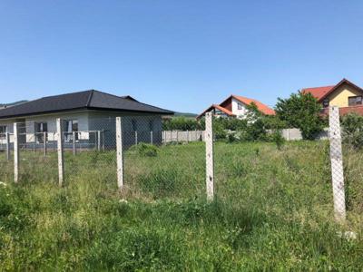 Teren de vanzare, Zona Cetate, 100 euro/mp