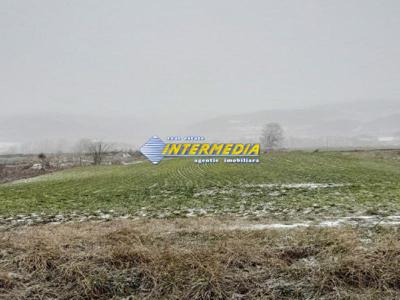 Teren extravilan de vanzare in Vintu de Jos in suprafata de 5700 mp