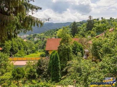 Teren insorit, Drumul Poienii, Brasov