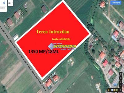 Teren intravilan 1350 mp de vanzare Lancram