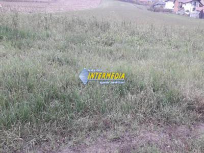 Teren intravilan de vanzare 9000 mp zona Micesti Sard