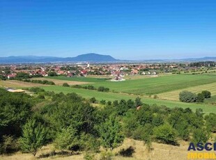 1.600mp intravilan,recomandat investitie/rezidential/mic proiect imobiliar,Livada Sanpetru,Brasov