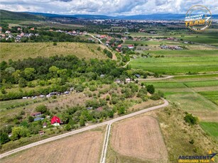 FILM! 4.500 mp,extravilan,livada,in Sancraiu,Covasna,acces facil,pomi fructiferi,