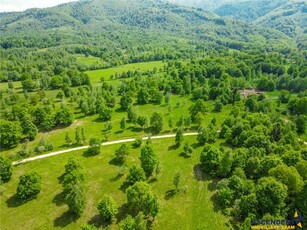 Film! In cadru natural impresionat, 14.000mp, cu destinatie agroturistica, Sinca Noua, Brasov