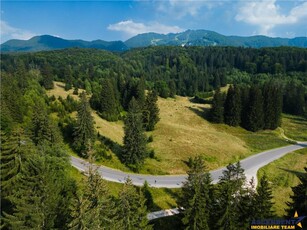 Film!!Punct de inatlnire cu natura! Poiana Brasov Rasnov,350.000mp,destinatie turistica si agrement