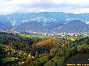 Incantare montana, apa curgatoare, documentie la zi, Bran, Brasov