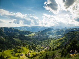 Special: 3 hectare de teren pitoresc, in apropierea Cabanei Trei Brazi,