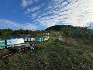 Teren de vanzare, Valea Ghinzii, parcele de 5-6 ari