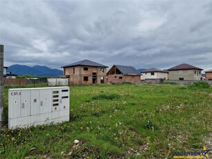 Teren intravilan, ideal constructie casa, Sacele Izvor, Brasov.