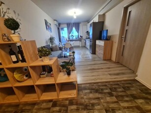 Apartament 2 camere, zona Baciu