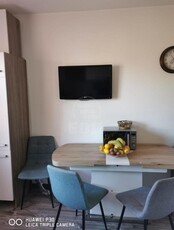 Apartament de vanzare 2 camere, APCJ245783FLO