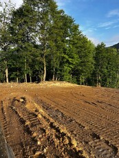 Teren de vanzare, investitie, parcele, utilitati pe pozitie, Rachitele