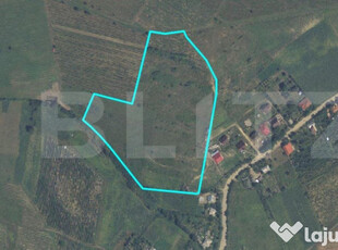 Teren intravilan de 3,6 ha, Tomesti