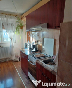 Apartament cu 2 camere,Nae Leornard