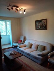 Apartament de 2 camere, 55 mp, centrala, pet friendly, decomandat, Lujerului