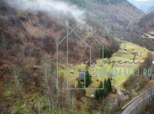 Cabana de vanzare Transalpina, 3km de Sugag Alba