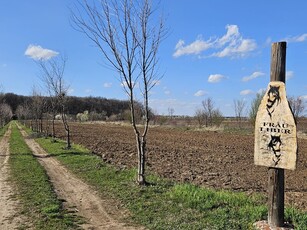 Teren Sabareni, teren vecin cu padurea Sabareni (zona activit