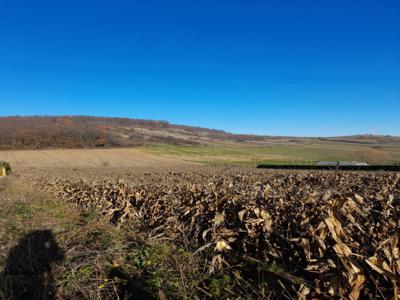 Vanzare teren 1,20 ha aproape de centura