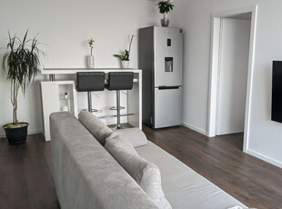 Apartament 2 camere Torontalului