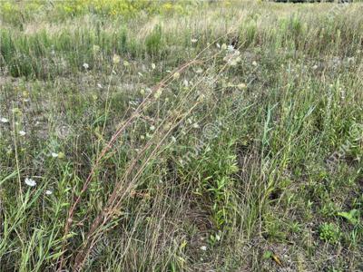 De vanzare teren industrial 20800 mp in zona Vest a orasului Sibiu