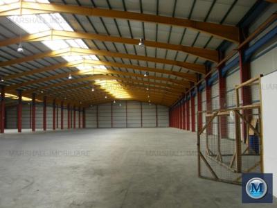 Spatiu industrial de inchiriat, zona Exterior Nord, 6856 mp