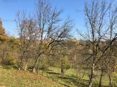 Teren de vânzare in Ocina de Jos