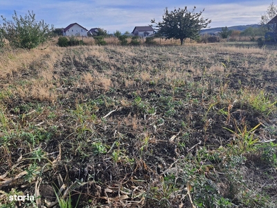 Teren intravilan Breazu,1000 mp, la 100 m de Padurea Marzesti