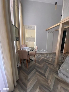 Apartament 60 Euro per zi, amenajat in stil unic langa Primaria Arad