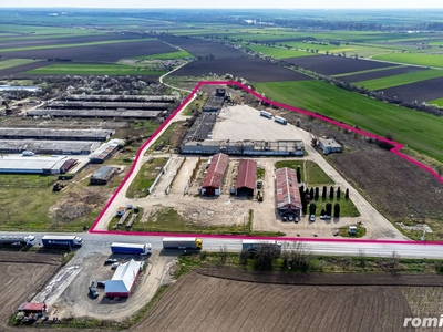 4,2 ha Teren DN7 Nădlac pentru Parc Logistic