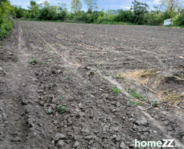 Casa bătrânească cu teren total 3400 mp Slobozia Blaneasa