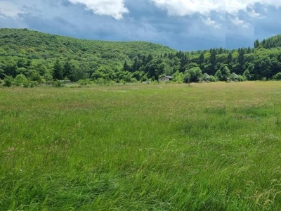 Vanzare teren zona Gilau!