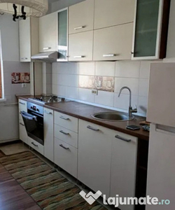 Apartament 3 camere/Paltinis