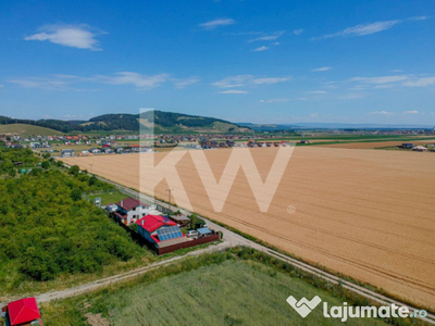 Teren Extravilan Sanpetru! Ideal pentru Investitie! - 9300 m