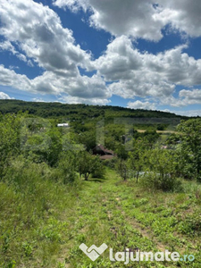 Teren intravilan, 2ha, zona Tomesti