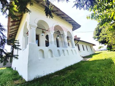 Proprietate speciala 9 camere vanzare in Olt, Brastavatu