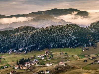 8.000 mp teren, Bran, Fundata, Brasov