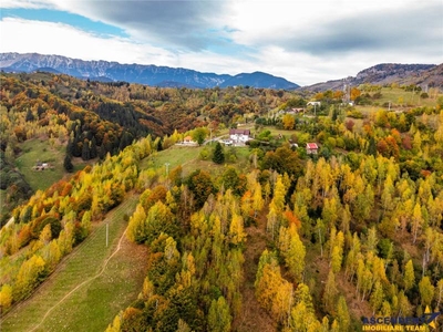 Film! Teren in peisaj mirific, Parcul Natural Piatra Craiului, Moieciu, Magura, Brasov