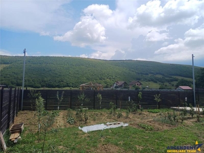 Mica ta rezidenta, in verde areal, Zizin Tarlungeni