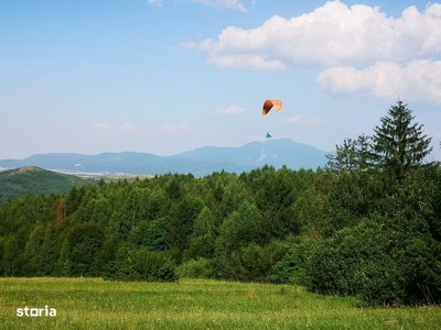 TEREN BRAN - Tohanita, cu Padurea in spate